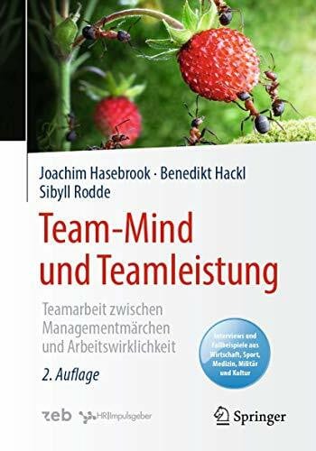 Team-Mind und Teamleistung: Teamarbeit zwischen Managementmärchen und Arbeitswirklichkeit