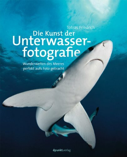 Die Kunst der Unterwasserfotografie: Wunderwelten des Meeres perfekt aufs Foto gebracht