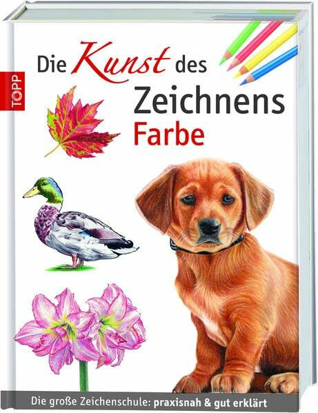 Die Kunst des Zeichnens - Farbe: Die große Zeichenschule: praxisnah & gut erklärt