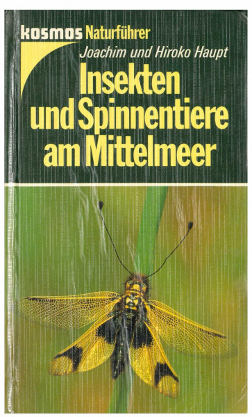 Insekten und Spinnentiere am Mittelmeer