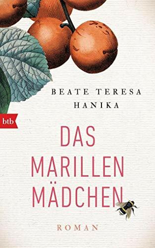 Das Marillenmädchen: Roman