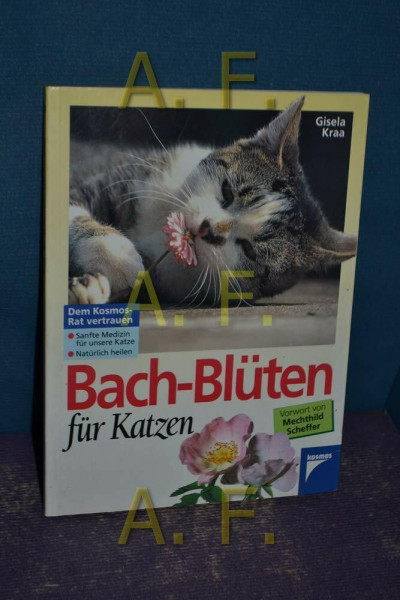 Bach-Blüten für Katzen