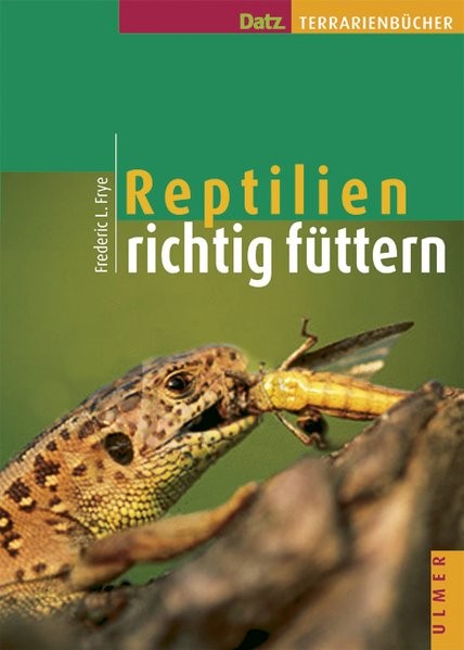 Reptilien richtig füttern