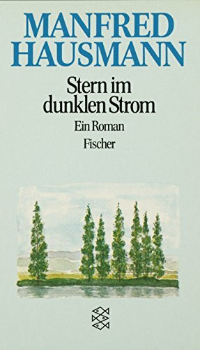 Stern im dunklen Strom: Roman