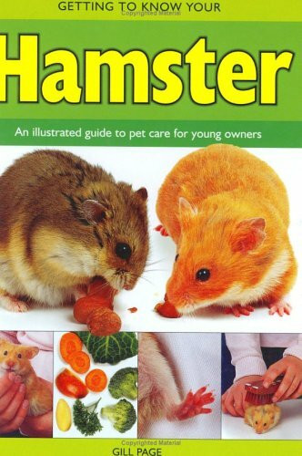 Getting to Know Your Hamster