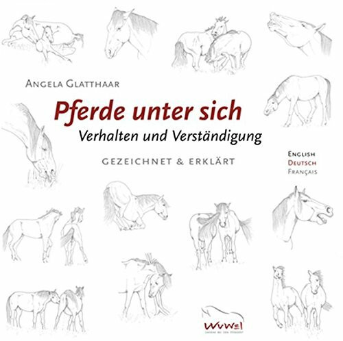 Pferde unter sich