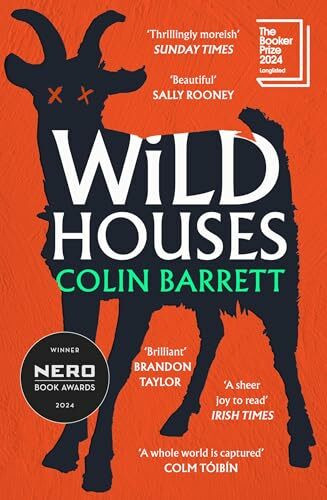 Wild Houses: Discover the thrilling debut novel from the award winning Irish author