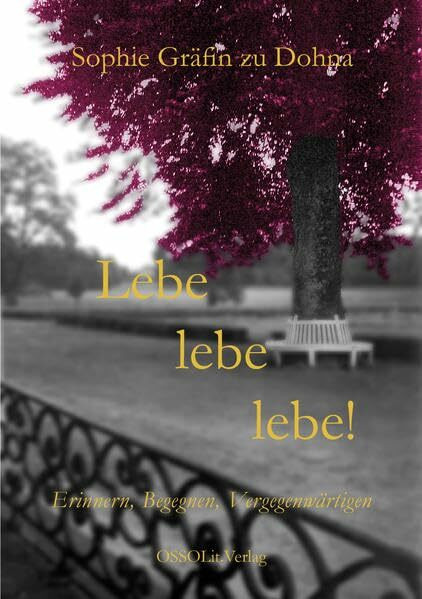 Lebe, lebe, lebe!: Erinnern, Begegnen, Vergegenwärtigen