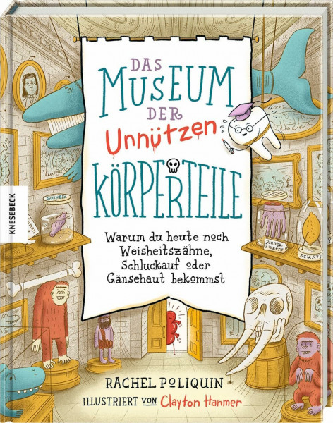 Das Museum der unnützen Körperteile: Warum du heute noch Weisheitszähne, Schluckauf oder Gänsehaut bekommst