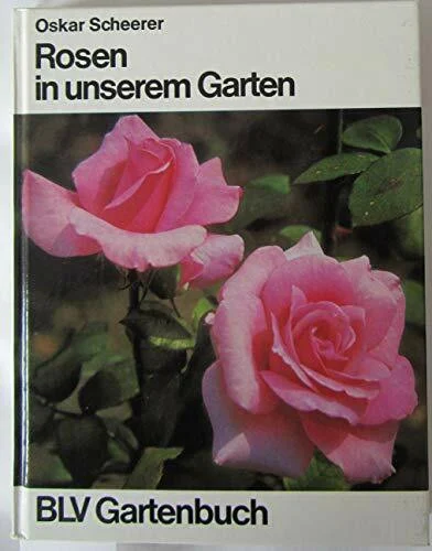 Rosen in unserem Garten