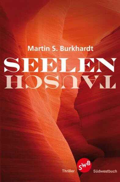 Seelentausch: Thriller