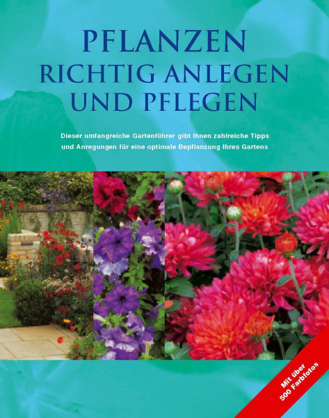 Pflanzen richtig anlegen und pflegen