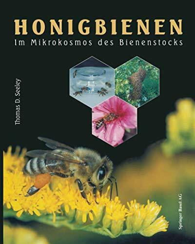 HONIGBIENEN - Im Mikrokosmos des Bienenstocks