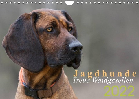 Jagdhunde - Treue Waidgesellen (Wandkalender 2022 DIN A4 quer)