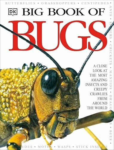 Big Book of Bugs (DK Big Books) Big Book of Bugs (DK Big Books)