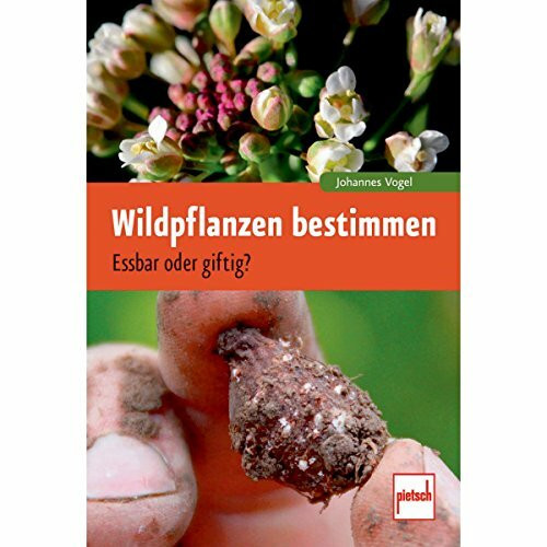 Wildpflanzen bestimmen: Essbar oder giftig?