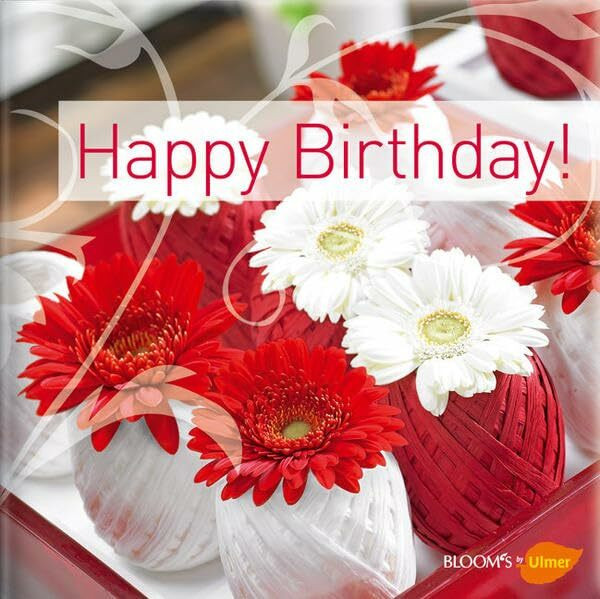 Happy Birthday! (BLOOM's by Ulmer)