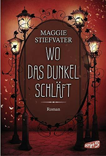 Wo das Dunkel schläft (Band 4): Roman