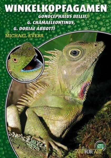 Winkelkopfagamen: Gonocephalus bellii, Gonocephalus chamaeleontinus, Gonocephalus doriae abbotti (Buchreihe Art für Art Terraristik)