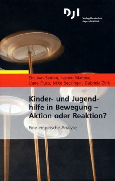 Kinder- und Jugendhilfe in Bewegung - Aktion oder Reaktion?: Eine empirische Analyse