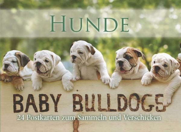 Postkartenbuch Hunde - Baby Bulldogs: 24 Postkarten zum Sammeln und Verschenken: 24 Postkarten zum Sammeln und Verschicken