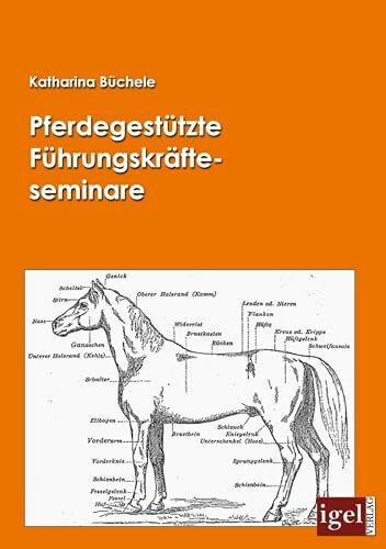 Pferdegestützte Führungskräfteseminare