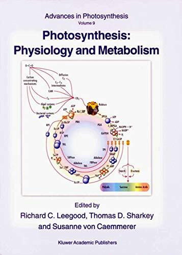 Photosynthesis: Physiology and Metabolism (Advances in Photosynthesis and Respiration, 9, Band 9)