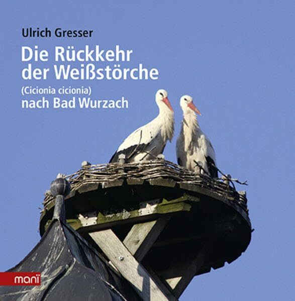 Die Rückkehr der Weißstörche: (Cicionia cicionia) nach Bad Wurzach