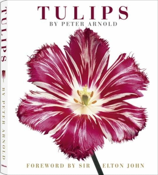 Tulips: Vorw. v. Elton John. Engl.-Dtsch.-Span. (Photographer)