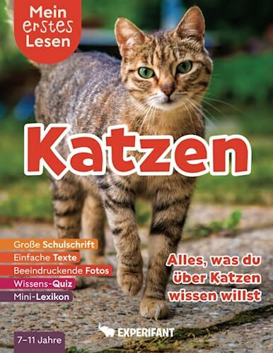 Mein erstes Lesen: Katzen - Alles was du über Katzen wissen willst: Spannendes Wissen für Erstleser - Mit einfachen Texten, großer Schulschrift, ... Lesen: Spannendes Wissen für Erstleser)