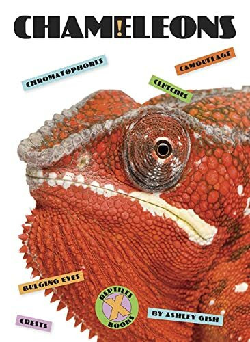 Chameleons (X-Books: Reptiles)