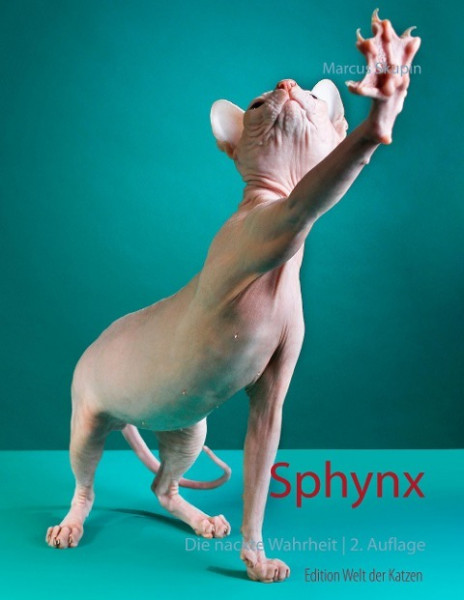 Sphynx