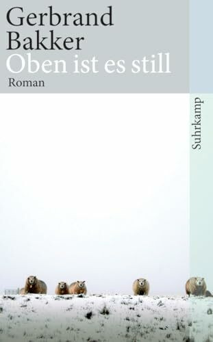 Oben ist es still: Roman