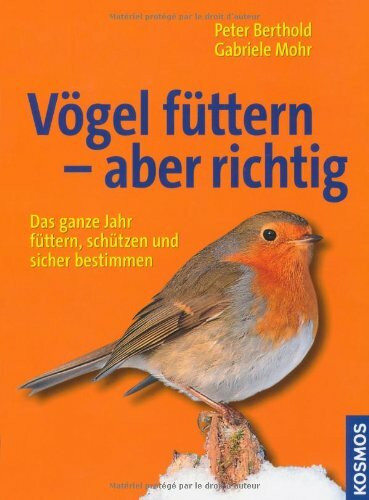 Vögel füttern - aber richtig