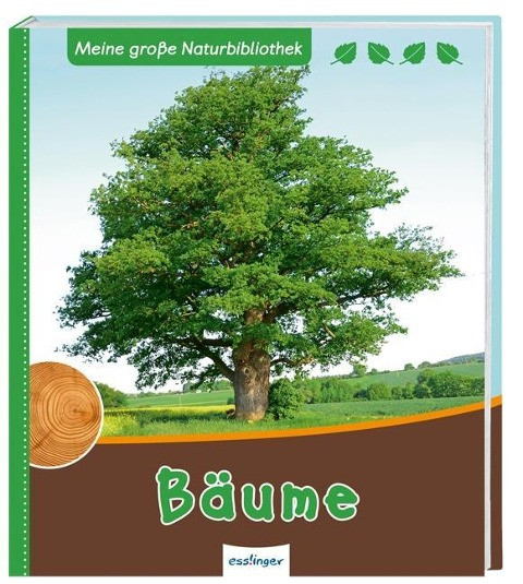 Bäume