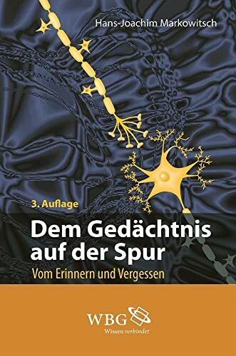 Dem Gedächtnis auf der Spur: Erinnern und Vergessen