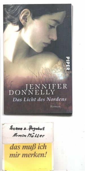 Das Licht des Nordens: Roman