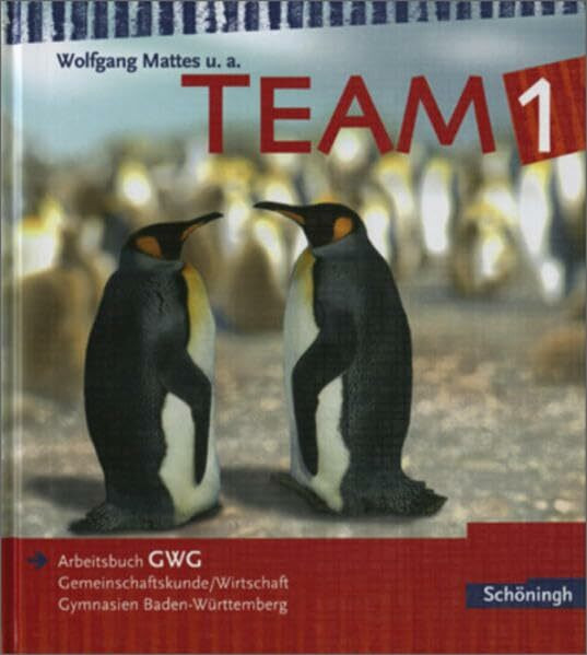 TEAM GWG - Arbeitsbücher für Gemeinschaftskunde und Wirtschaft an Gymnasien in Baden-Württemberg - Bisherige Ausgabe: Band 1: Bildungsstandards GWG ... / Band 1: Bildungsstandards GWG Klasse 8