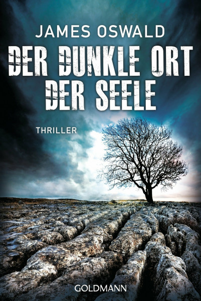Der dunkle Ort der Seele: Thriller - Inspector McLean 3