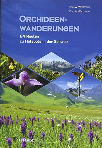 Orchideenwanderungen: 24 Routen zu Hotspots in der Schweiz