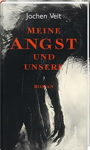 Meine Angst und unsere: Roman