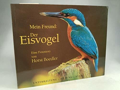 Mein Freund - Der Eisvogel