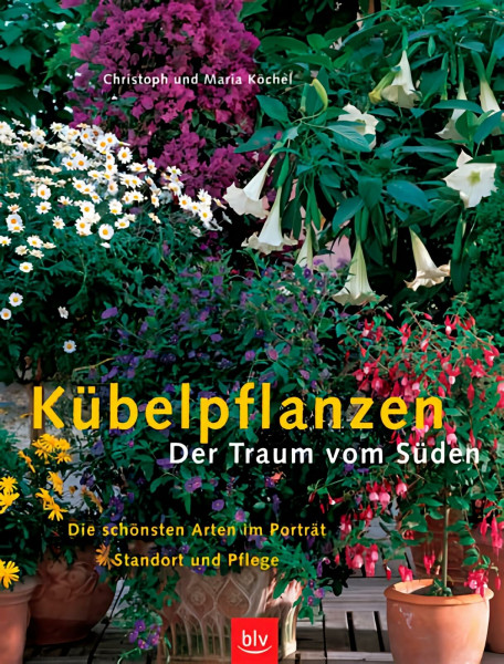 Kübelpflanzen Der Traum vom Süden. Die schönsten Arten im Porträt, Standort und Pflege