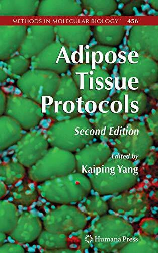 Adipose Tissue Protocols (Methods in Molecular Biology, 456, Band 456)