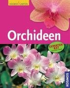 Orchideen