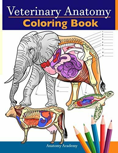 Veterinary Anatomy Coloring Book: Animals Physiology Self-Quiz Color Workbook for Studying and Relaxation | Perfect gift For Vet Students and even Adults