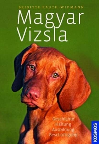 Magyar Vizsla: Geschichte, Haltung, Ausbildung, Zucht