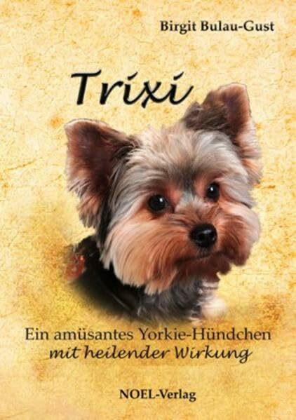 TRIXI: Ein amüsantes Yorkie-Hündchen mit heilender Wirkung