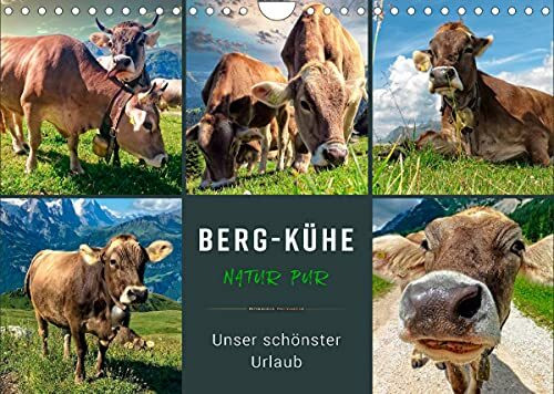 Berg-Kühe, Natur pur - unser schönster Urlaub (Wandkalender 2022 DIN A4 quer)