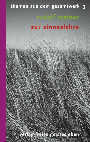 Zur Sinneslehre: 8 Vorträge. Themen aus dem Gesamtwerk 3 (Rudolf-Steiner-Themen-Taschenbücher)